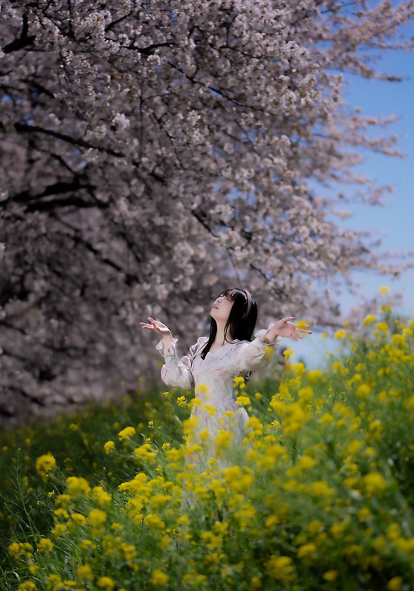 In frame:  天音れい さん
Location: #埼玉県

#桜 #🌸 #菜の花
#portrait #ポートレート
#strobist #ストロビスト
#ファインダー越しの私の世界
#カメラマン #フォトグラファー
#松本市
#出張撮影  #撮影依頼 承ります。