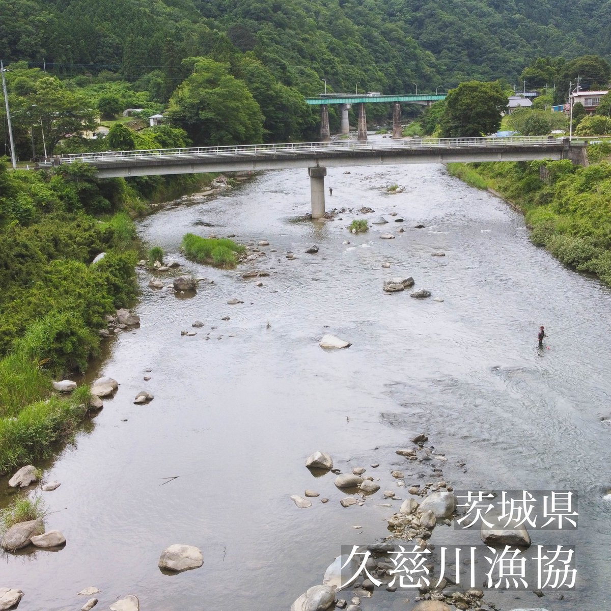 【新提携】
茨城県 久慈川（くじがわ）漁協の遊漁券がフィッシュパスにてご利用いただけます！
遊漁券をオンラインにてご購入いただけます。
ぜひご利用ください✨
詳しくは下記URLからご覧いただけます↓ fishpass.co.jp/news/archives/…

#久慈川漁協
#久慈川
#フィッシュパス
#電子遊漁券
#遊漁券
#川釣り