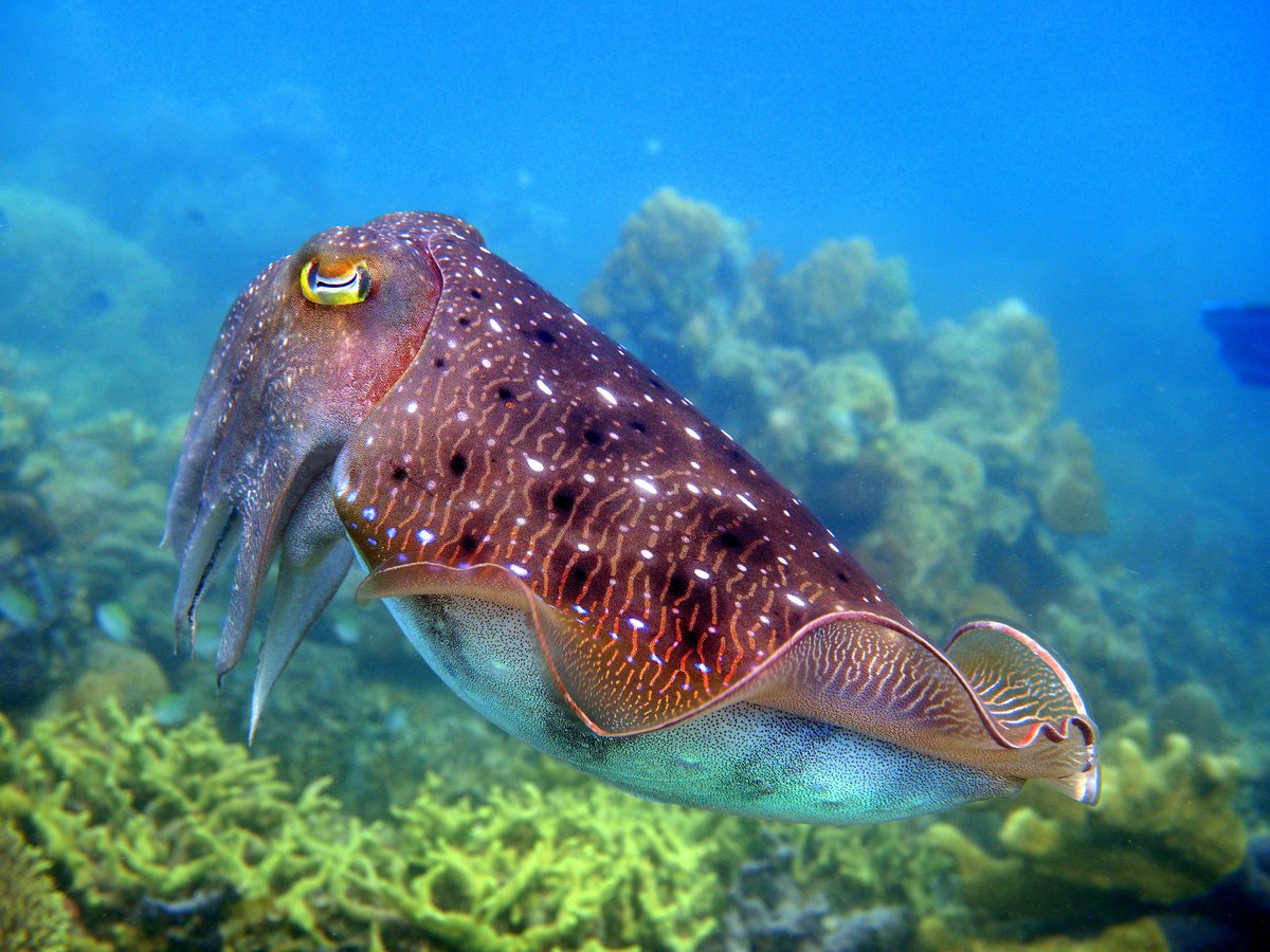 Investing in nature pays off for people and the planet. 🌳🤝🌍

Discover how <a href="/theGEF/">Global Environment Facility (GEF)</a> Council’s family of funds invests in climate change adaptation, biodiversity, ocean health, pollution control, and more: wrld.bg/XEGl50QMX0a