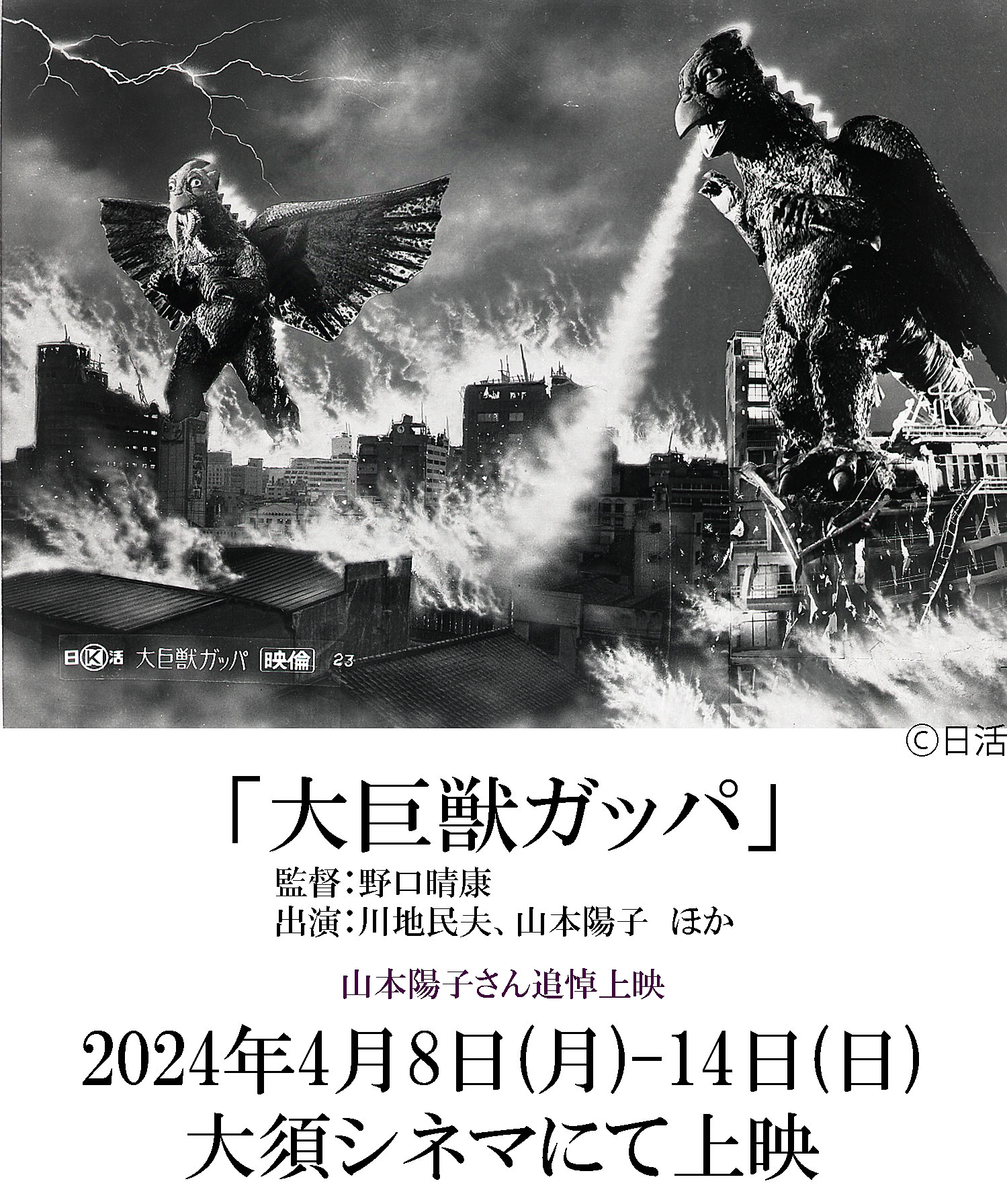 山本陽子　映画 