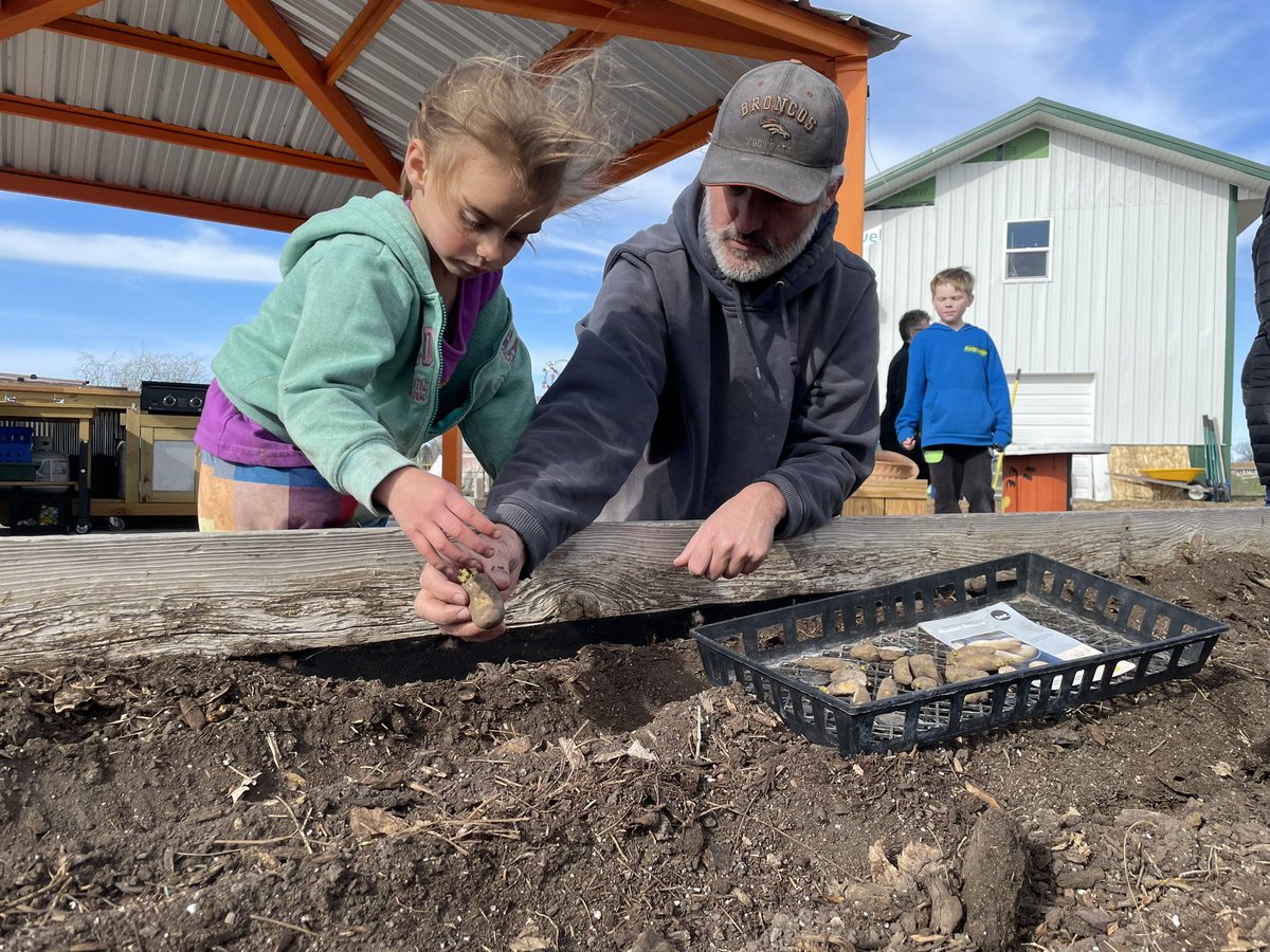 Kleeb teaching kids how to grow 🥔🥰 #SchoolGarden I ❤️ public schools.