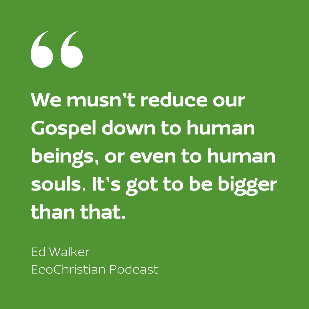 In this season of resurrection, we praise a God who is found in the garden, who loves and redeems all creation. Listen to the latest episode of @TheEcoChristian featuring our Executive Director, Ed Walker, for encouragement to join in this holy work of creation care.