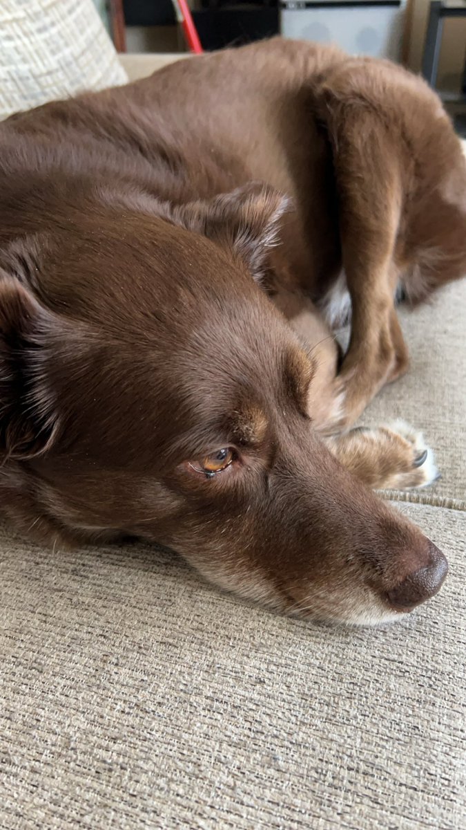 Jenny Doke tweet media