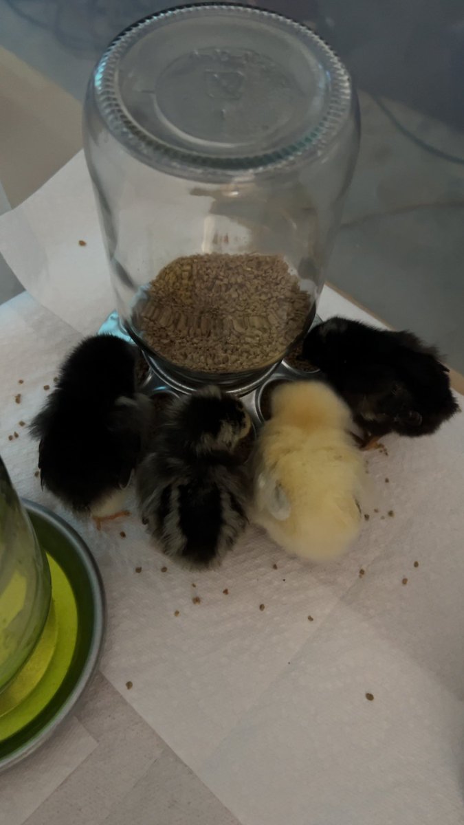 Jenny Doke tweet media