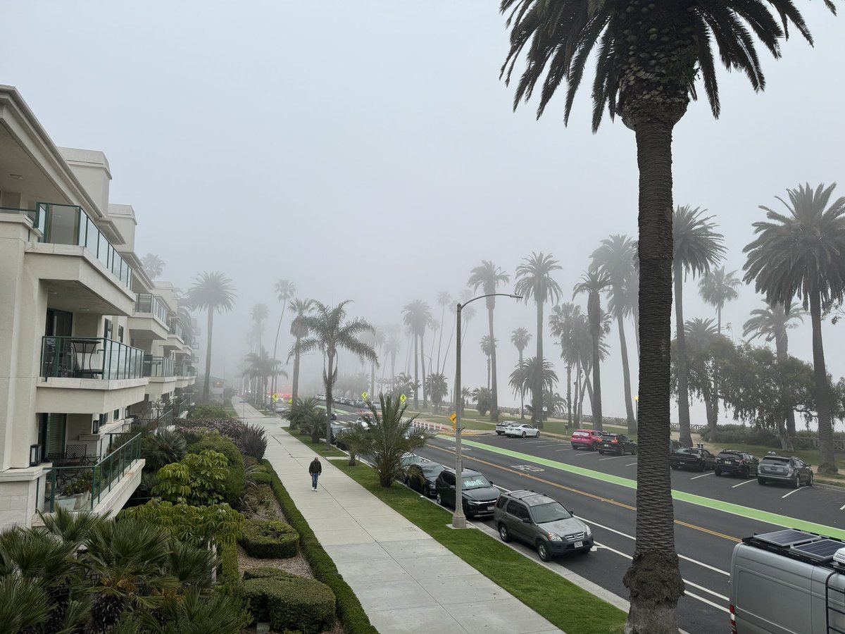 So much for yet another beautiful Santa Monica sunset. 🌴💨 #fog #CoastalEddie #CoastalEddy