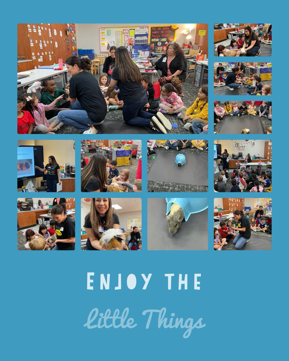 Kindergarten had a great animal demo with some furry friends from @SRC_CyFairISD Thanks to Ms Wendy and Ms Joyce for volunteering your time! @BlackBearkats #bearkatbest #builttolast