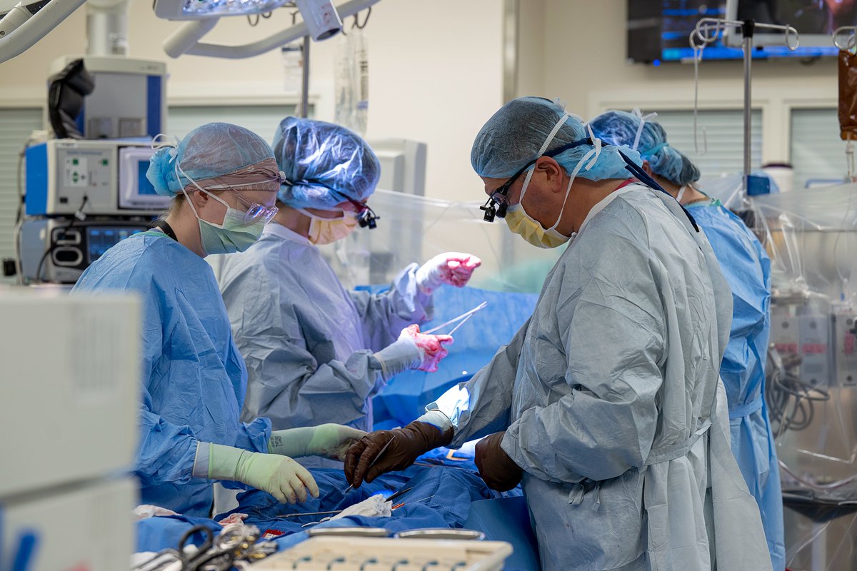 The #OhioStateSurg OR Coaching program helps our #residents develop their technical skills. Experienced “coaches” — aka @OSUWexMed surgeons — provide specific intraoperative advice & constructive feedback to help our trainees. 🙌 bit.ly/49sZgdu