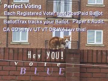 time4kind's tweet photo. . #PerfectVoting
. #MailVoteInEveryState https://t.co/pJPvK6lbcf