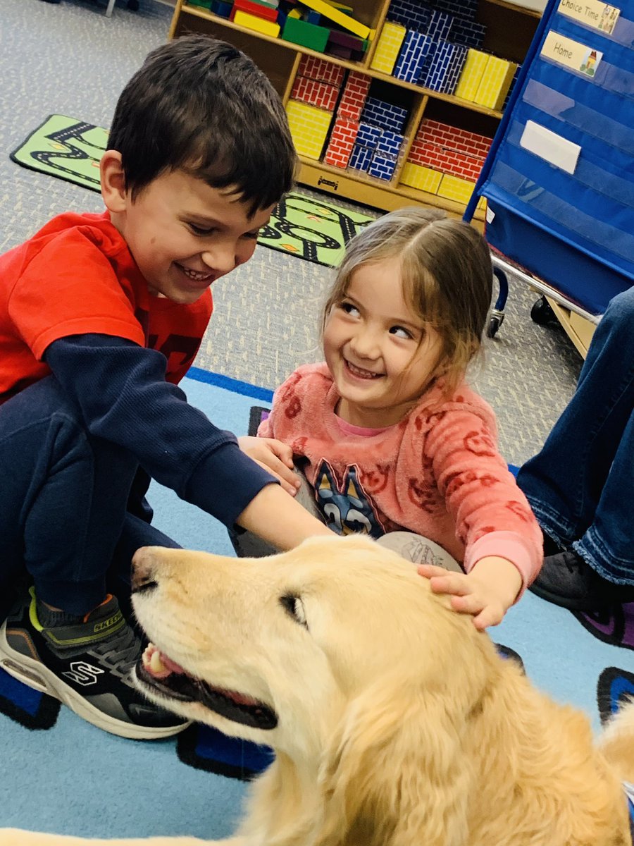 DesandreTaylor's tweet photo. Jeremiah! ♥️ #sd113a #owstrong #comfortdog https://t.co/Fjjt1OYb7N