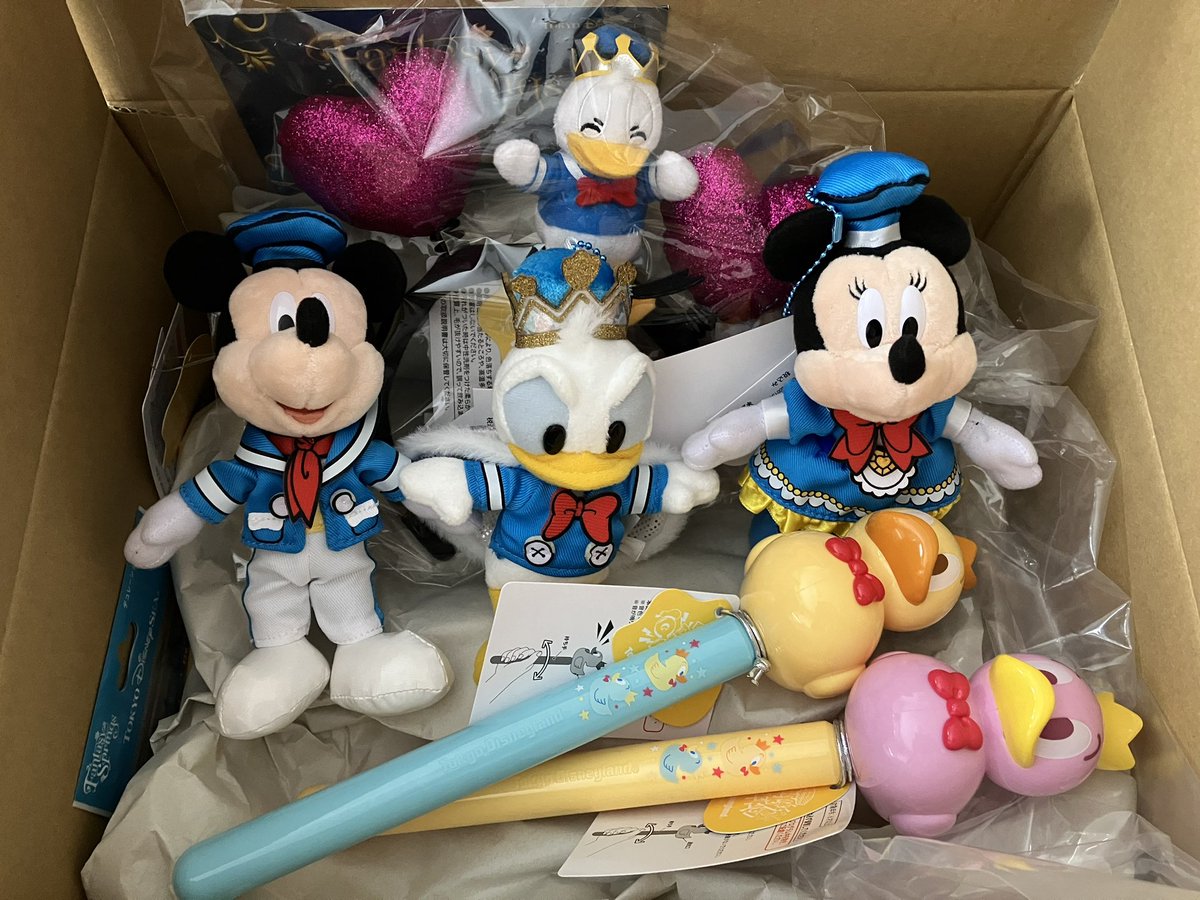 アプリで買ったパルドナグッズが届きました！！ 次のランドインの時に持っていきます！🏰☺️✨