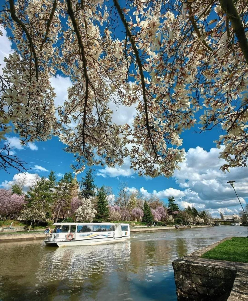 xyzwtf_55's tweet photo. Good morning everyone😊
Lets get ready 4 the weekend😎
#photography
#photography
#timisoaracity🇷🇴 https://t.co/bfQwlRc5bQ