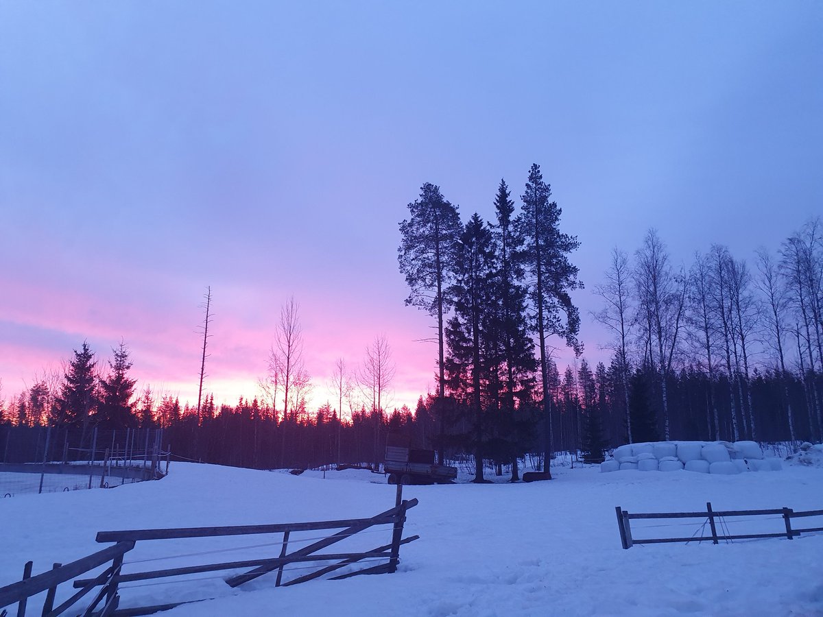 Se kevään pakollinen kuva,eka "sontaluukkukuva" näin huhtikuussa 😉🤭.