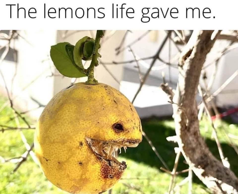 Them: When life gives you lemons, make lemonade. Me: