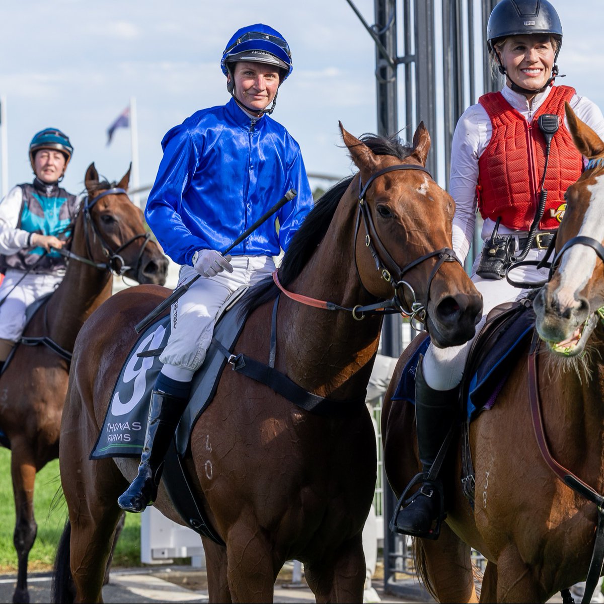Austmarr is back after a stellar victory last start on Adelaide Cup day 😮‍💨 Our Form Analyst @LincolnMoore17 has picked out the @godolphin star as his best of the day, check out his full Punt Preview and plays for each race below. PUNT PREVIEW | bit.ly/49zd3iN