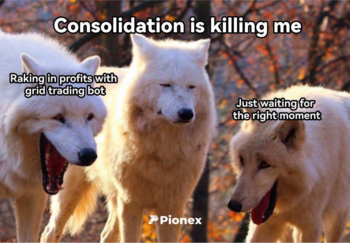 🤖Hurry up and use #Pionex # TradingBot to free up your time and funds! 🔓 #cryptocurrency #virtualcurrency #investment #trading #MEME #MEMES