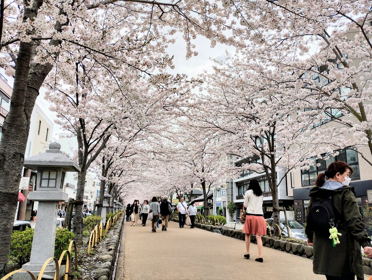 Yuka🇯🇵 tweet media