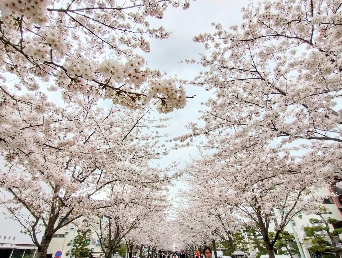 Yuka🇯🇵 tweet media