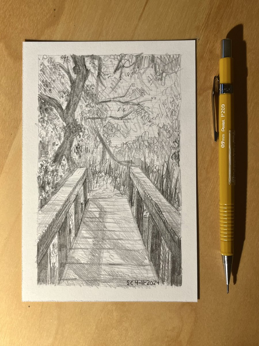 Tonight’s sketch of Guajome Park in Oceanside CA. #sandiego #art #sandiegoart #drawings #sketches