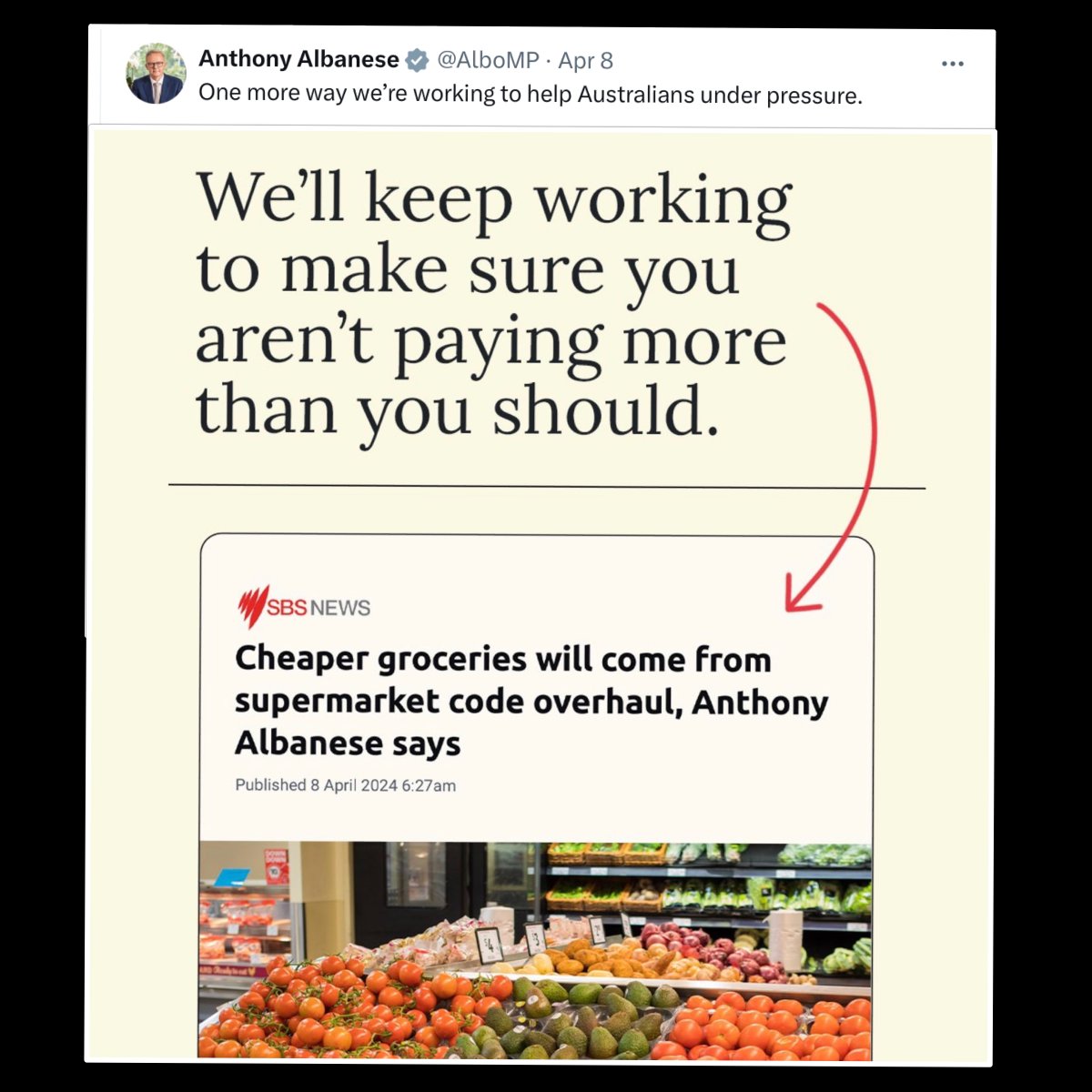 Anyone that thinks 'cheaper groceries' will come from Albanese’s policies needs psychiatric assessment.