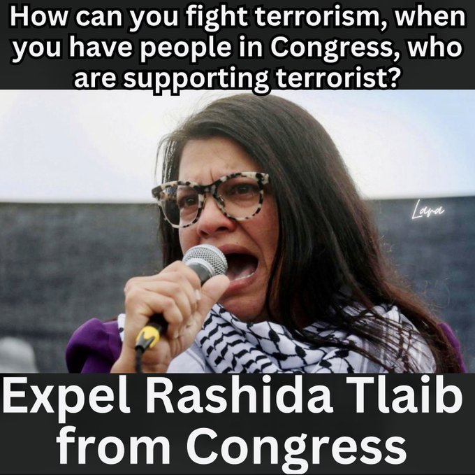 Censure did nothing. Should Rashida Tlaib be expelled? Yes or No?