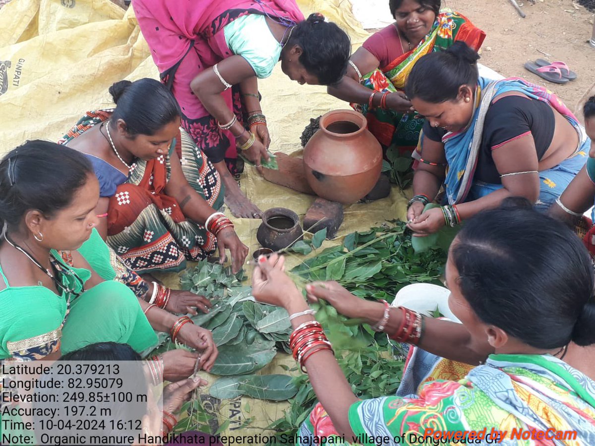 Exciting day in Sahajpani, GP-Dangarpada! Participants gathered to learn the art of preparing organic manure, including Handikhata and jivamrut. With 16 eager learners, old and new, we're cultivating sustainability from the ground up! #OrganicFarming #SustainableAgriculture