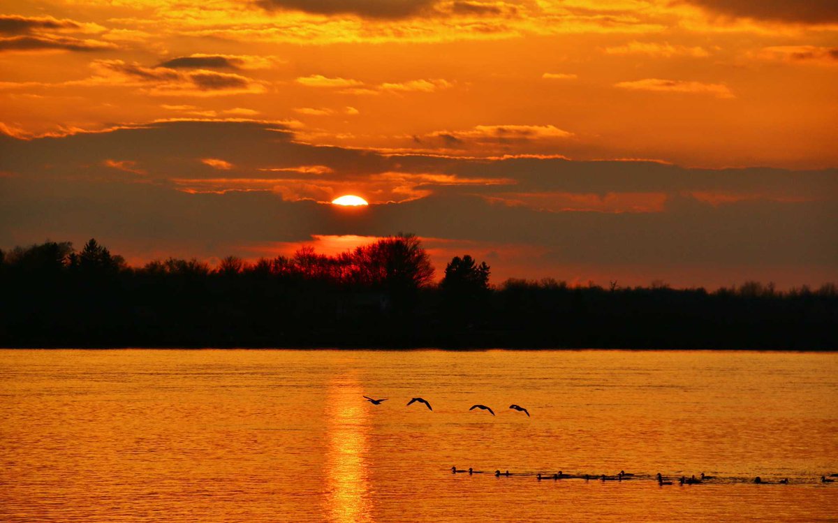 There is nothing like a #goldenSunset and #birdsontheNiagara to make us smile and want to get the #cameras out! #upperNiagara #WNYsunsets #cloudySky @WesternNewYork @CityOfNFallsNY @NiagaraRegion @visitniagara1 @CloudAppSoc @VisitNiagaraUSA #nubes  #elSol #WNYsunsets…