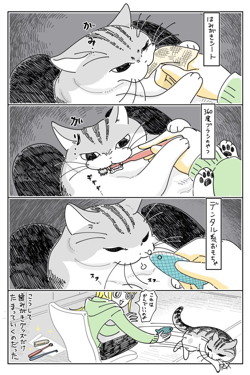 ハミガキさせてほしい nekonavi.jp/catblog/archiv…