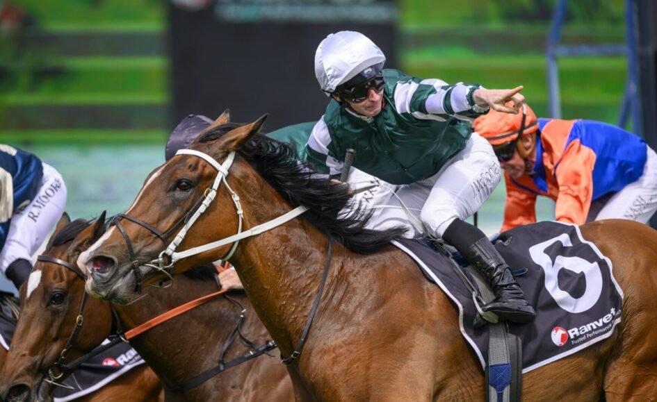 'I can't tip against her... I think the Australian horses are a little too short.' @braddavo joined us to preview this weekend's racing at Randwick and he's keen on the Europeans in the Queen Elizabeth. LISTEN: bit.ly/3JgP2ST