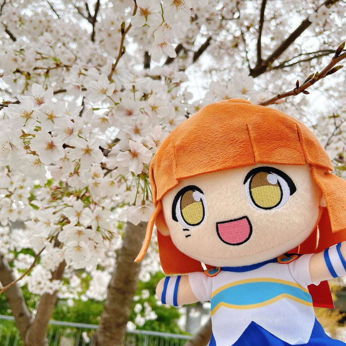 🌸　🍡　🌸　🍡 とある日の お花見の風景 🍡　🌸　🍡　🌸 #ぷよクエ #ぷよぷよ #桜
