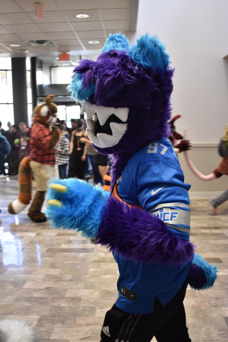 Zento 🔜 Furcamp tweet media