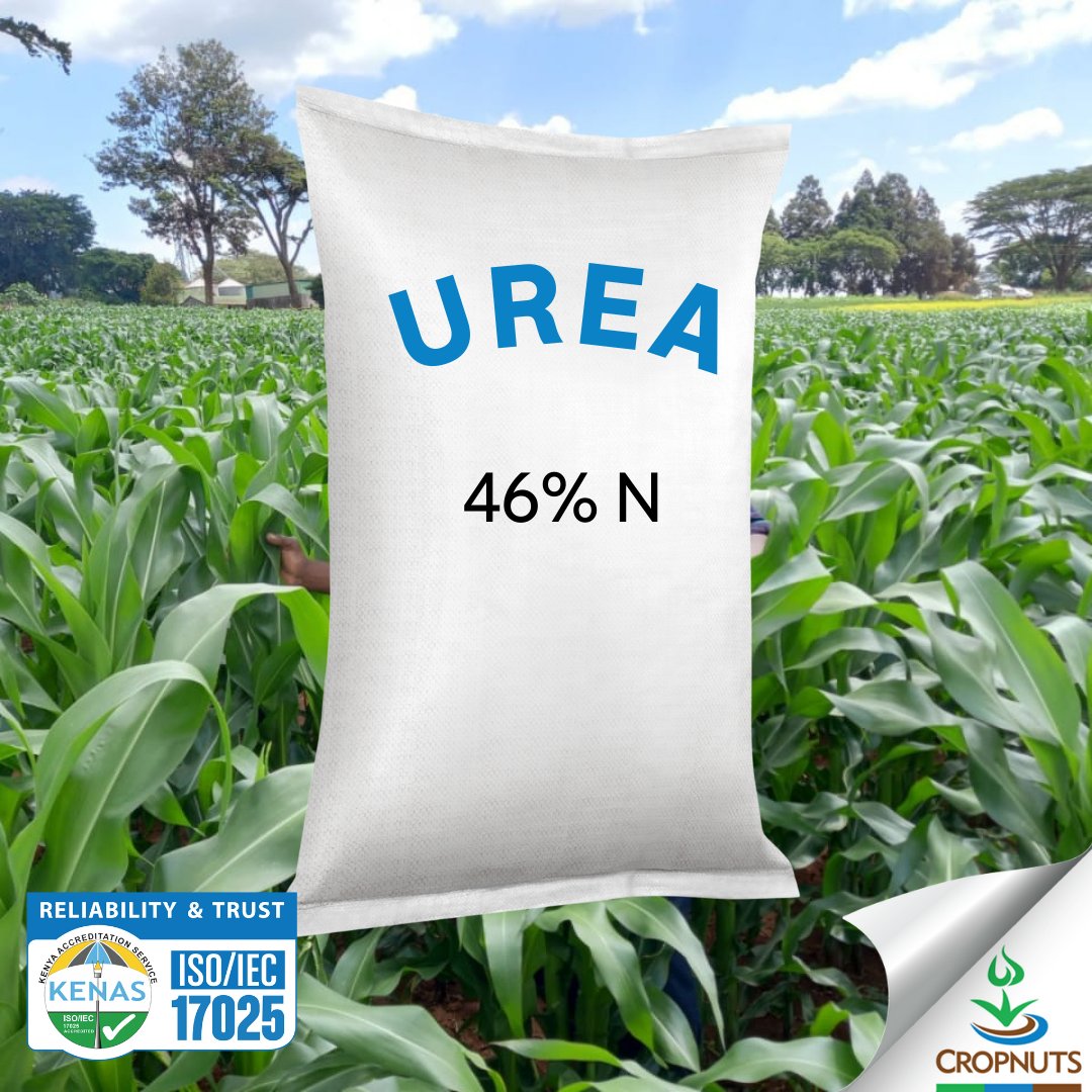 Did you know that urea is one of the most widely used nitrogen fertilizers globally? Let’s explore why urea is essential for optimizing crop nutrition and boosting agricultural productivity: bit.ly/4aKzUc2