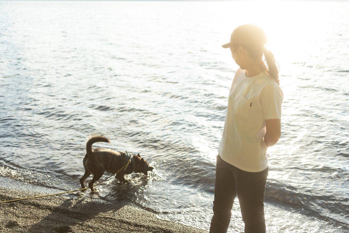 sachi (@sachi_427_) / Posts / X