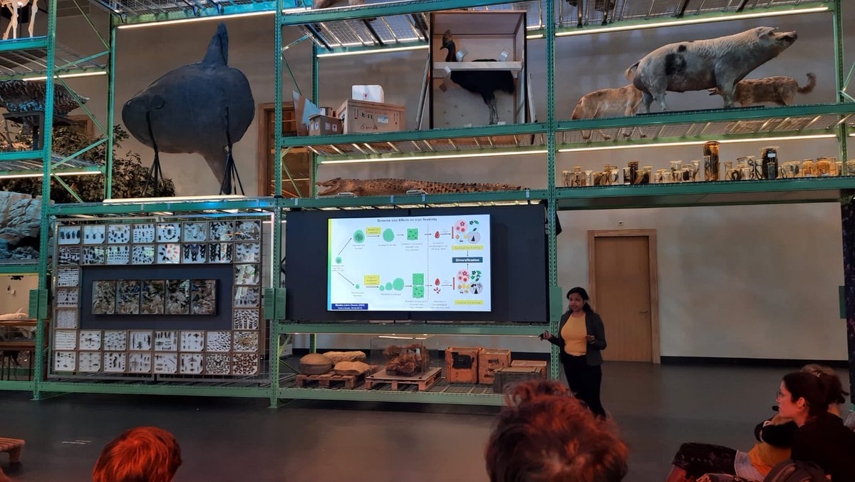 Talking about my @sdiv #Evolution project @idiv in the most charismatic venue yet, with #fossils and specimens all around me… thanks @RenskeOnstein for organising this in @museumnaturalis 🇳🇱… one more exciting talk coming up next week in UK🇬🇧