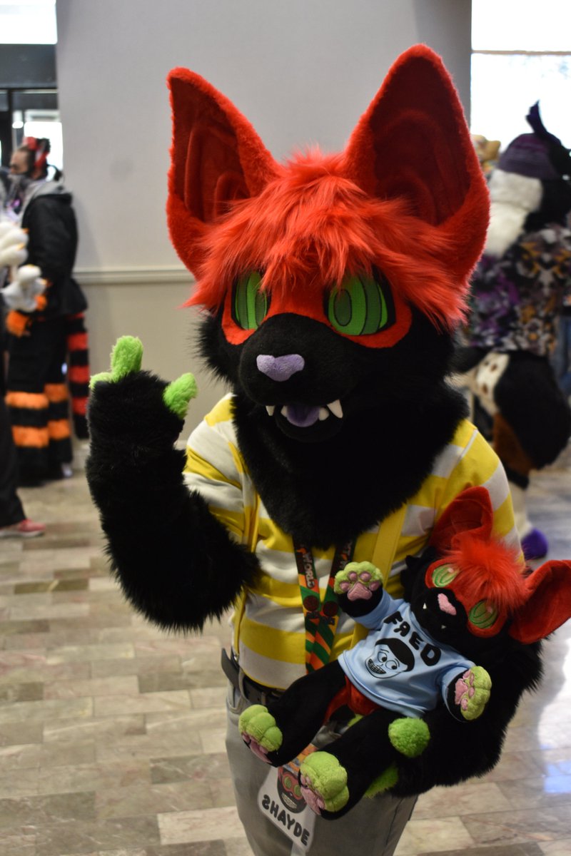 Zento 🔜 Furcamp tweet media