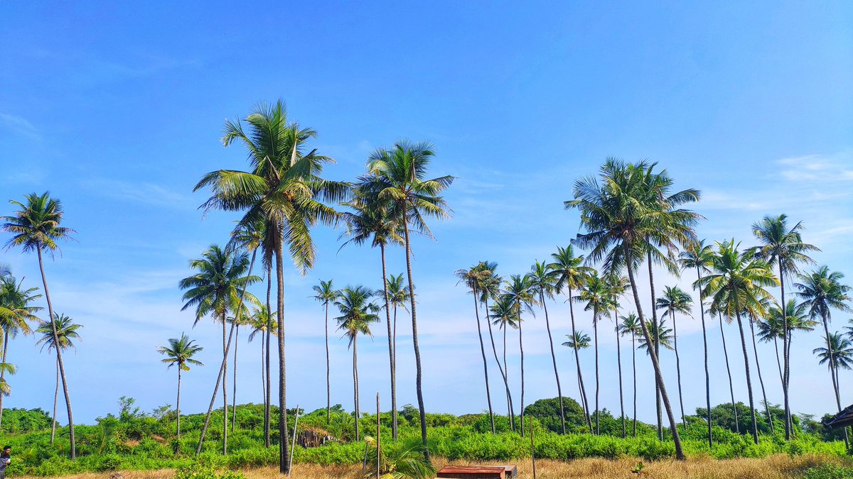 On the tunes of Ra Ra Rakamma in boat u have this beautiful island 🏝️
Blue green water 🌊
I was surprised to see all this actually
Udupi is a hidden gem of Indian west coast 
 costal Karnataka (Thulunaad) >>>>>