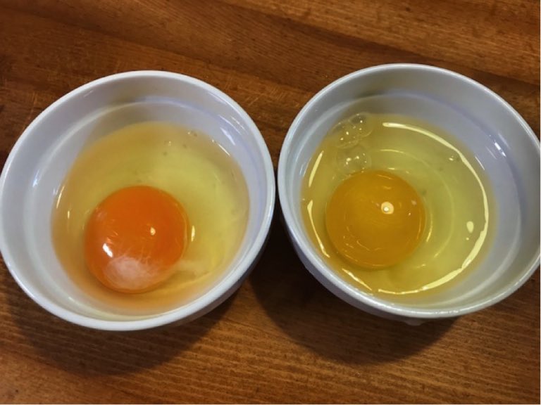 左 コンビニの卵　　右 オーガニックの卵 本物の卵の色は薄いレモン色 スーパーの卵の色は着色料（パプリカ色素）を入れていて、量や色の種類で自由に調整してる 日本の鶏はケージ飼いで運動不足で抗生物質入りの遺伝子組み換えの餌を食べストレス溜めてる 海外ではケージ飼いを禁止してる国も多い