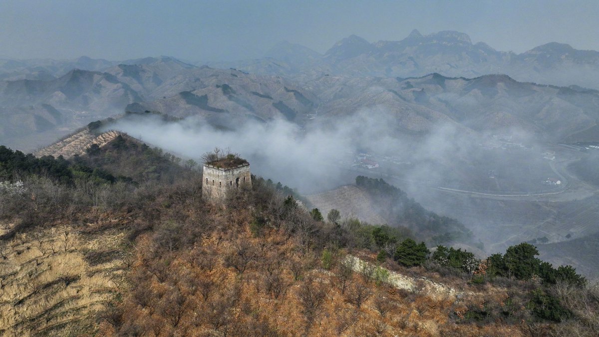 Experience the ethereal beauty of the #GreatWall shrouded in mist after a #spring rain in the early morning in Zunhua, #Tangshan. #JoinUs to explore this enchanting scene! #ScenicBeauty Source: Jishi Client