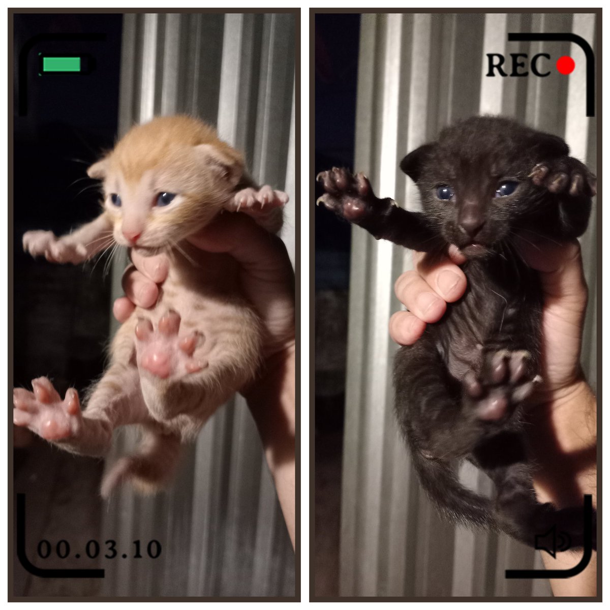 José (@stualonso) on Twitter photo 