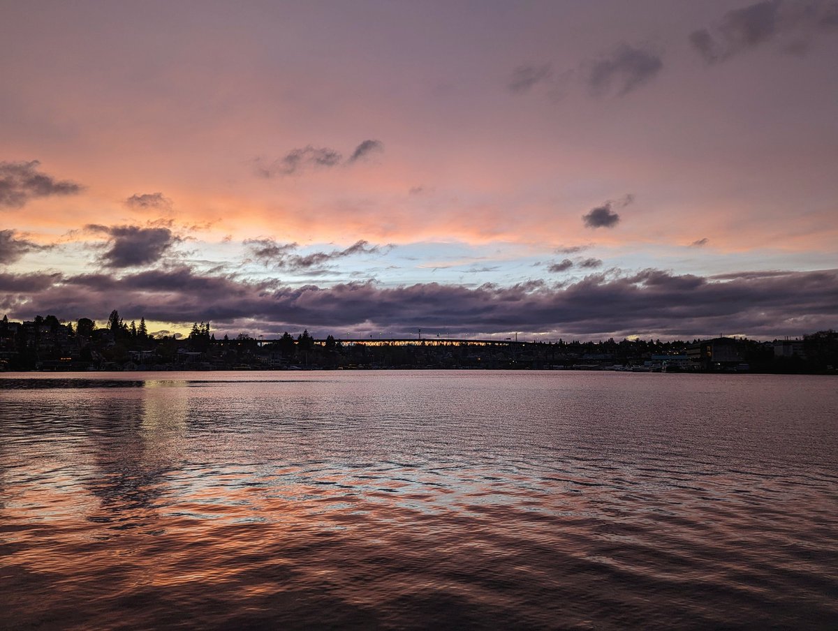 Golden lenticulars to pink sunset from West Montlake Park this evening