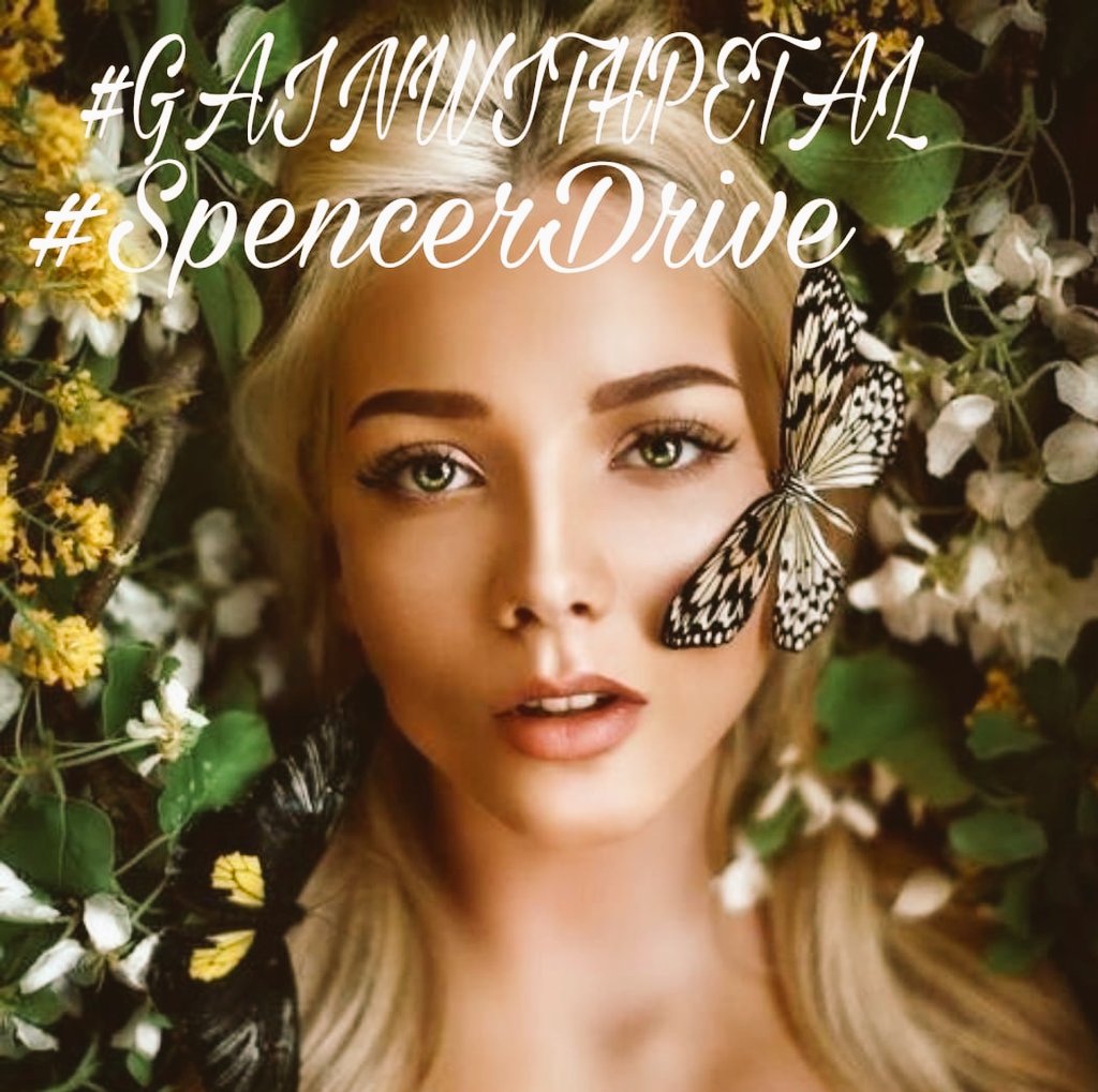 #PETALGAIN💫
@swydersk💙
@Spencerjames211
@MARTHA_CAN2
@Jemaco40
@ginaaaaa24
@WALLI27
@Mo_Sevi
@yelarvel
@bluea125
@teamdinamicas
@GRAHAM15583070
@satansradio666
@monicampon
@nuvisionquestt3
@NewCarlonet
@ranasilvia63
@nuvisionquestt2
@jasmine50012486
@Siogo61
@CarloSportfan…