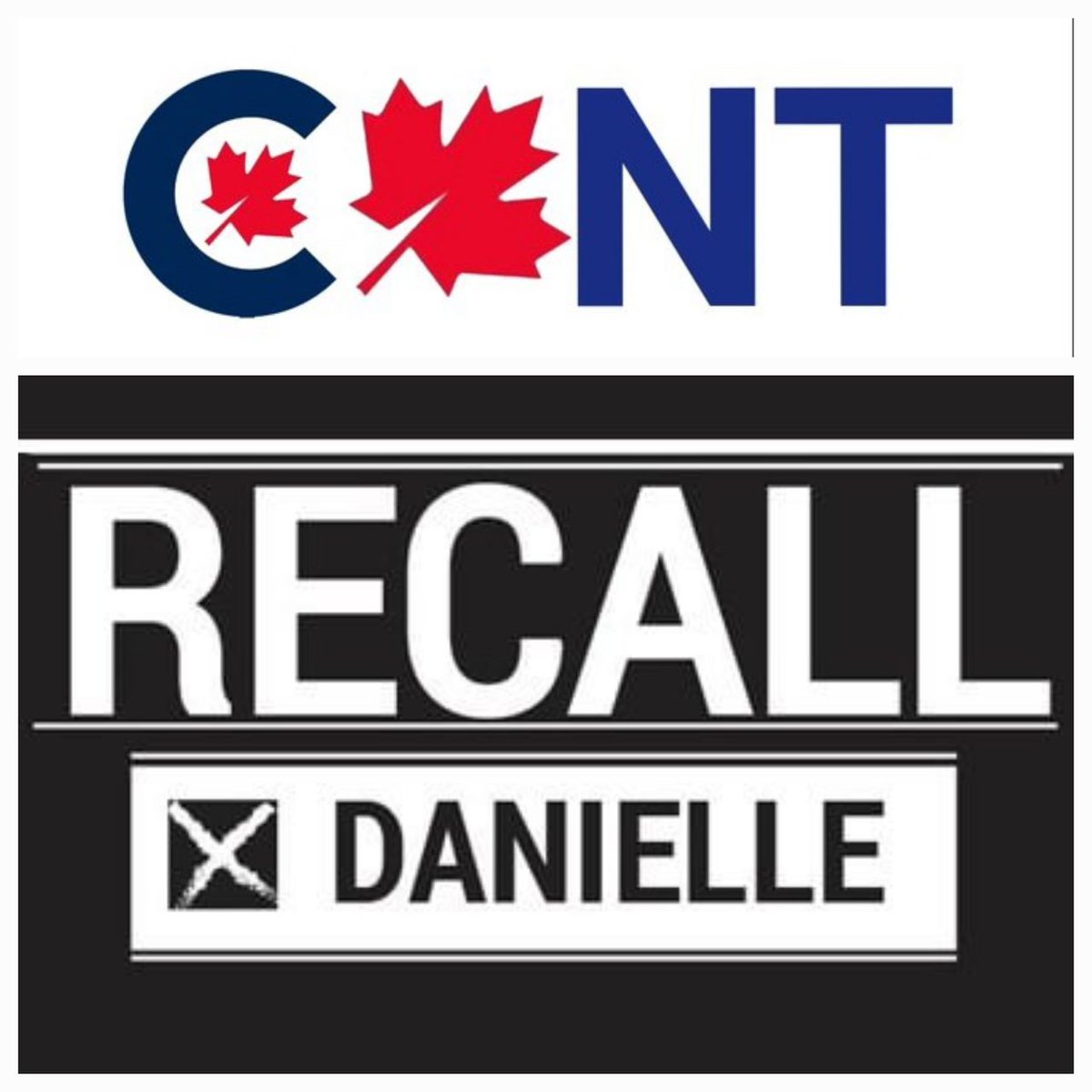 @HILITINGHOCKEY One miserable c🍁nt in particular...
#GFYDanielleSmith #PuntTheCunt