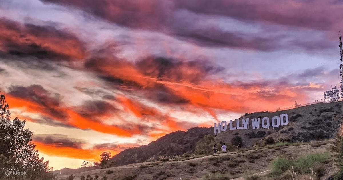 The Hollywood Sign tweet media
