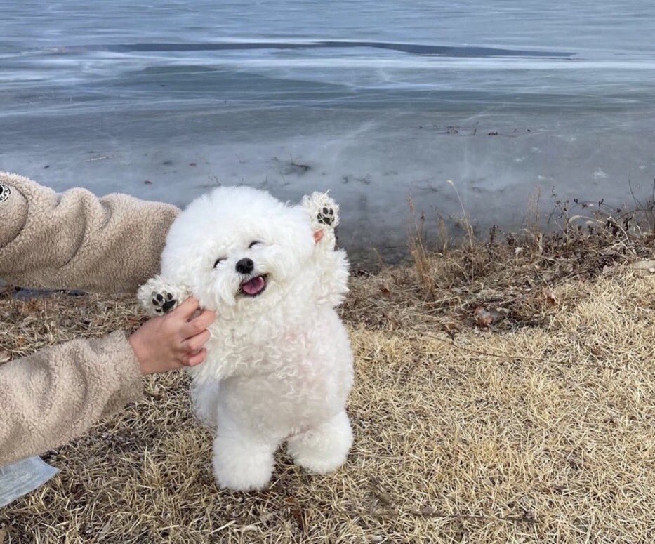 ニコって笑ってる〜
可愛い