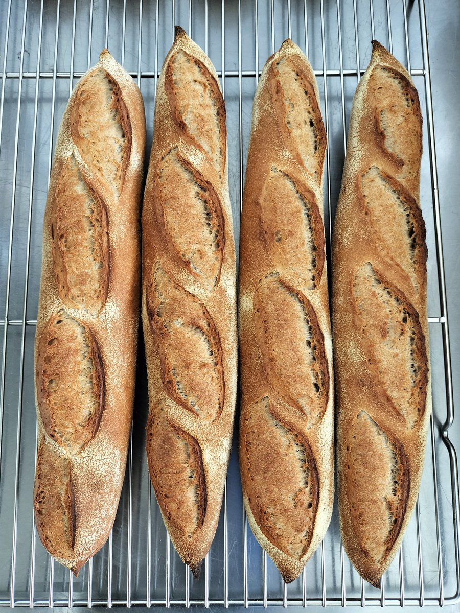 今日のお昼ごはん
よく膨らみました〜🥰
小麦とルヴァンの風味が旨い！
🥖🥖🥖🥖

#徳島県 #阿波市 #阿波町 #パン屋 #天然酵母 #バゲット
#くろねこベーカリー