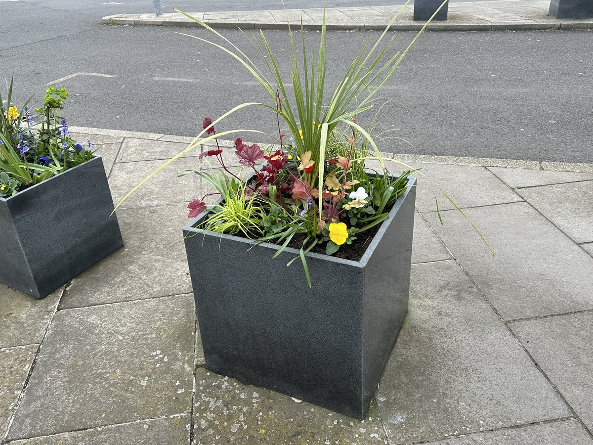 Thank you to @RamsgateTown for replanting the flowers outside Ramsgate Station . Don’t they look amazing? It makes such a difference. Just in time for #Stationsinbloom a competition between all @Se_Railway stations.