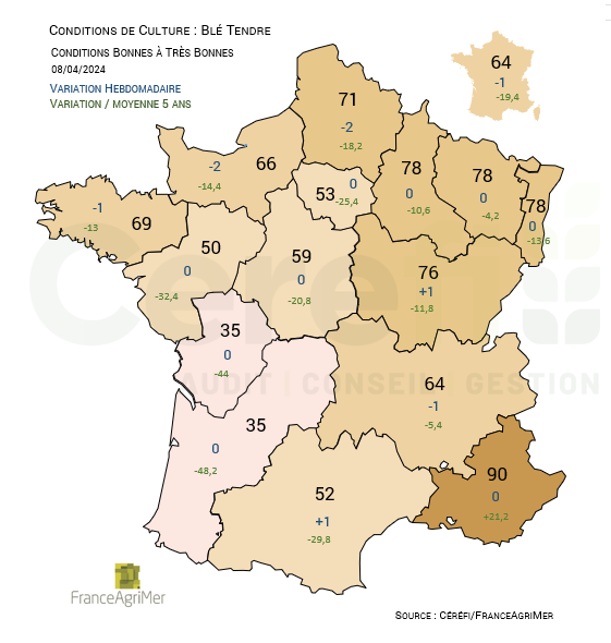 Céréfi tweet media