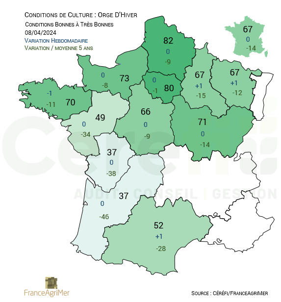 🇫🇷🌾Conditions de culture classées de "Bonnes" à Très Bonnes" en France :
- Blé : 64% avec une moyenne sur 14 ans à 79%
- Orge d'hiver : 67% depuis 3 semaines avec une moyenne sur 14 ans à 78.75%

Source : <a href="/FranceAgriMerFR/">FranceAgriMer</a> 

#Condition #Culture #Wheat