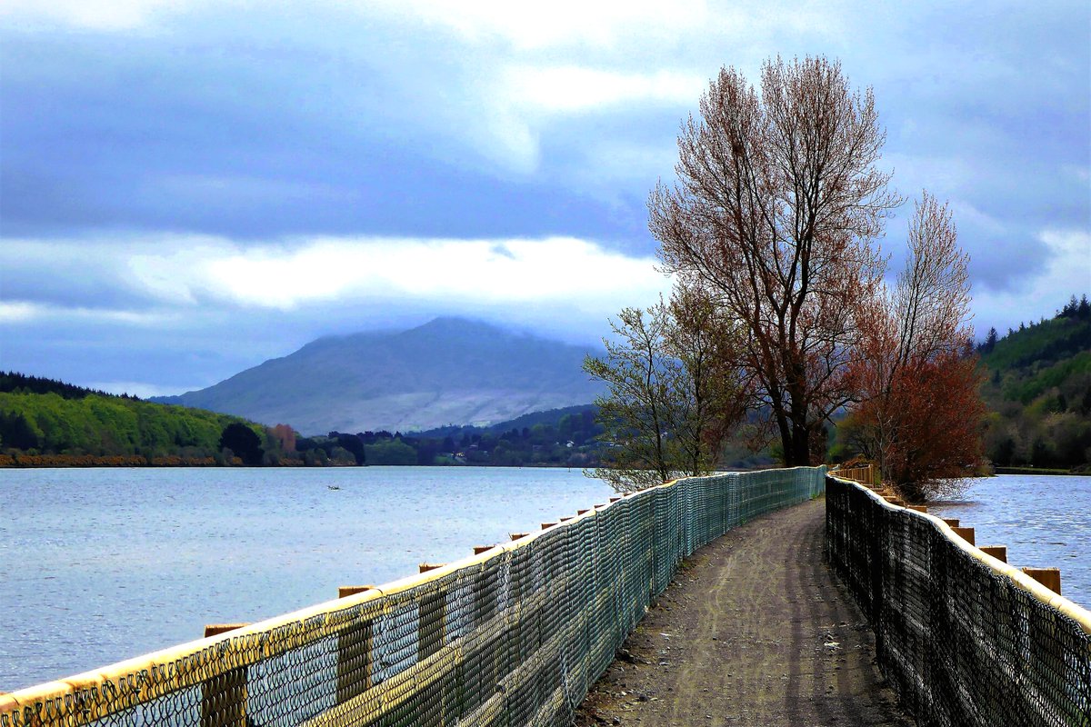 The Newry to Omeath stretch of the Carlingford Greenway, Carlingford Lough on the left and Newry Canal on the right, Slieve Foye, County Louth's highpoint, under cloud straight ahead #FootpathFriday