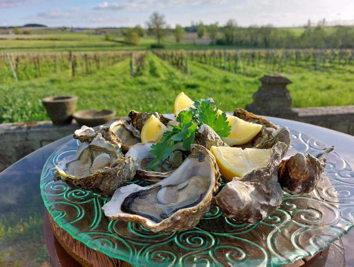 Thursday evening treat: eating Marennes oysters in the sunshine overlooking the vineyard! 😋🦪☀️
#holidayvilla #villawithpool #villafortwo #vineyardview #ruralretreat #France #holidayfrance #selfcatering #charentemaritime #sawdaystravel #sawdays #specialplacestostay #oysters