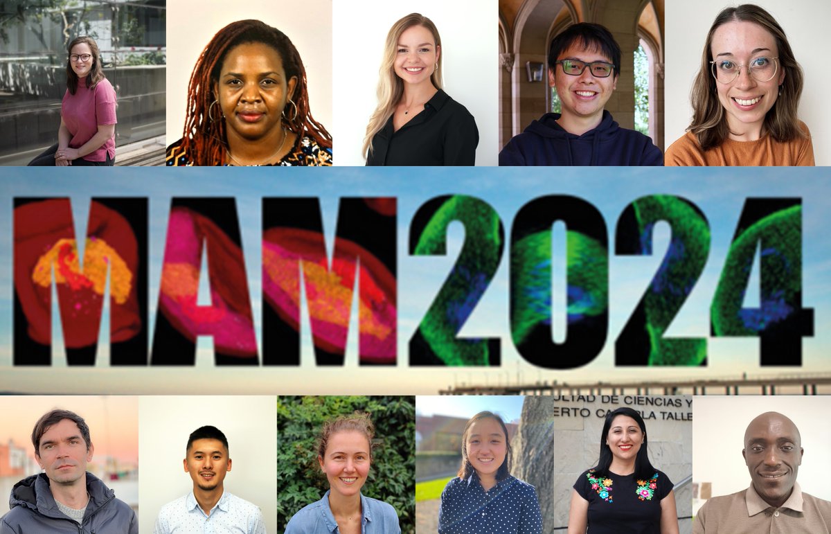 In this TrendsTalk, the #ECR participants of #MAM2024 highlight the exciting new #Molecular #Approaches to #Malaria presented in this conference @MAMLorne. Stay tuned for the next MAM in 2028! cell.com/trends/parasit…